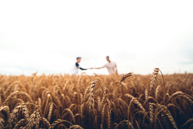 Making low-carbon food: a mission for the entire value chain