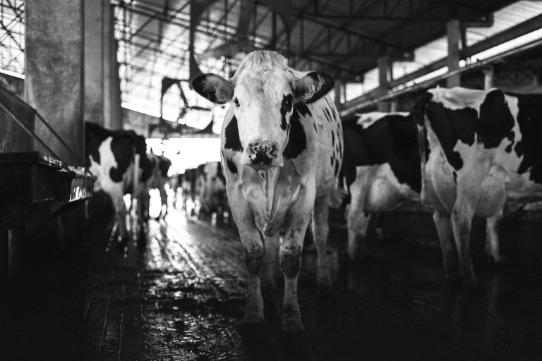 Registres de GES : l’ultime étape vers des réductions reconnues