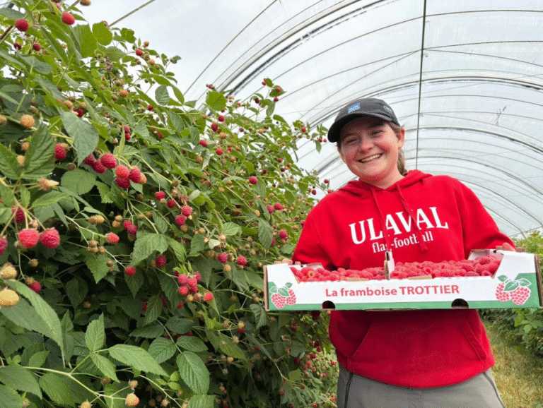 Alexandrine Trottier récolte des framboises sur la ferme familiale